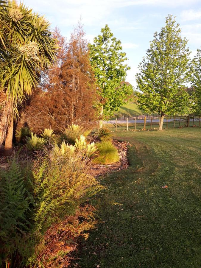 Rural Palms Bed & Breakfast Haruru Exterior photo
