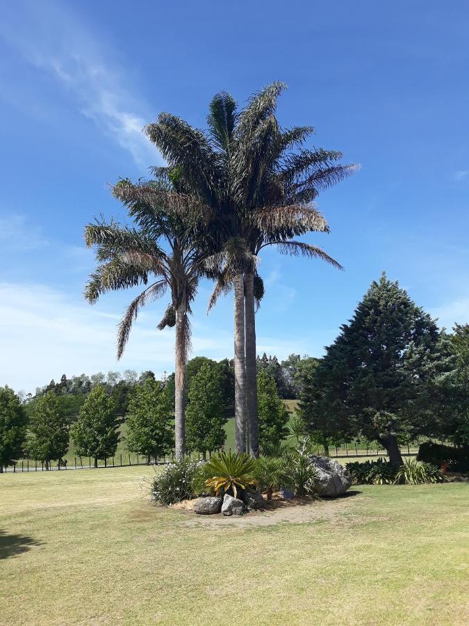 Rural Palms Bed & Breakfast Haruru Exterior photo