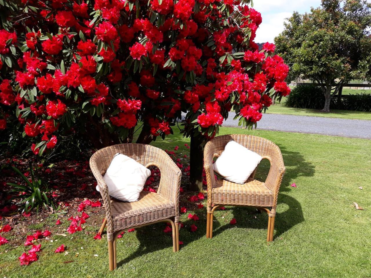Rural Palms Bed & Breakfast Haruru Exterior photo