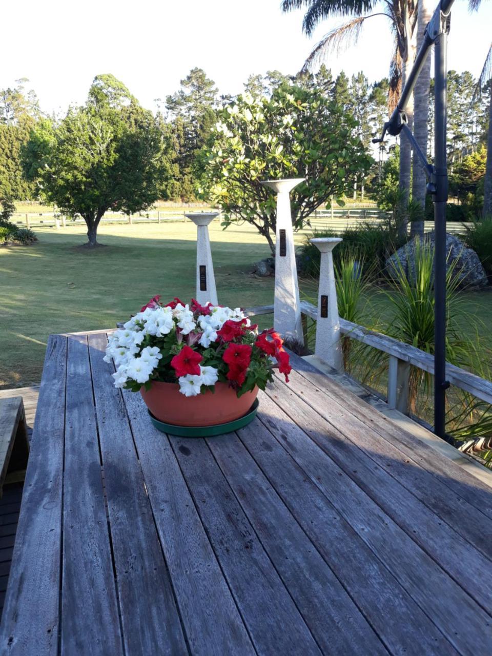 Rural Palms Bed & Breakfast Haruru Exterior photo