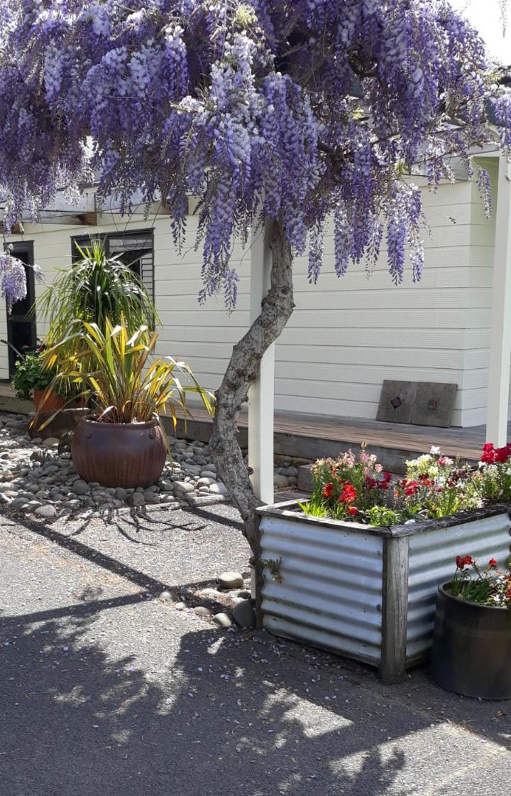 Rural Palms Bed & Breakfast Haruru Exterior photo